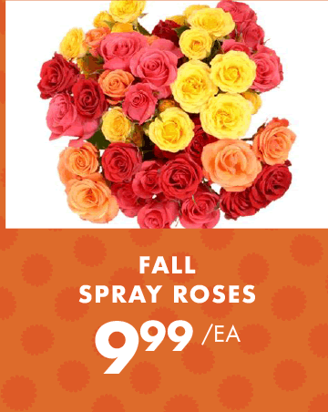 Fall Spray Roses - $9.99 each