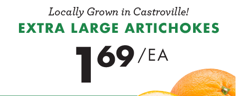 Locally Grown in Castroville! Extra Large Artichokes - $1.69 each