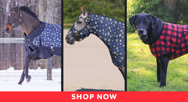 Countdown to Black Friday, Day 2: Limited edition Blankets, Slickers, & Dog Coats.
