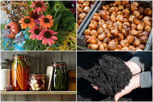 September gardening photos: flowers, bulbs, soil, canned produce