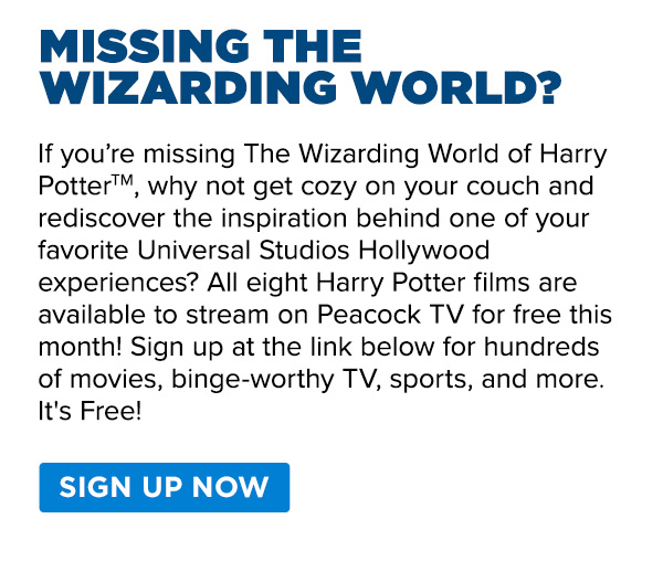 Missing The Wizarding World?