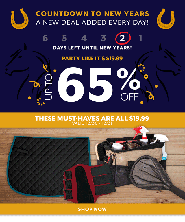 Countdown to New Years Deals: a new deal added every day. Party like it's $19.99 with these hot deals.