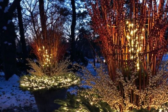 Outdoor holiday lighted containers