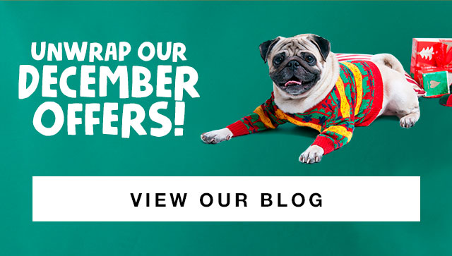Read Our December Offers Blog