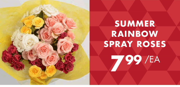 Summer Rainbow Spray Roses - $7.99 each