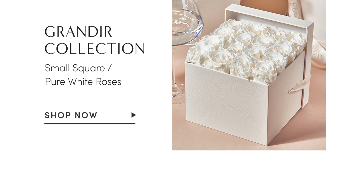 GRANDIER COLLECTION. Small Square/Pure White Roses. Shop Now.