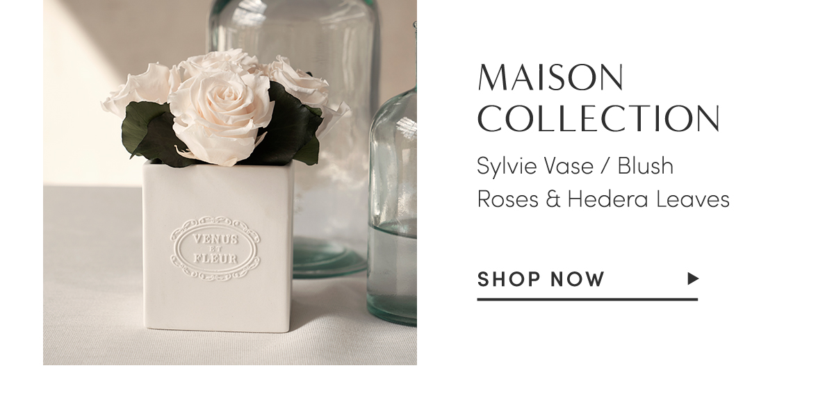 MAISON COLLECTION. Sylvie Vase/Blush Roses & Hedera Leaves. Shop Now.