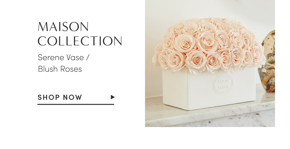 MAISON COLLECTION. Serene Vase/Blush Roses. Shop Now.