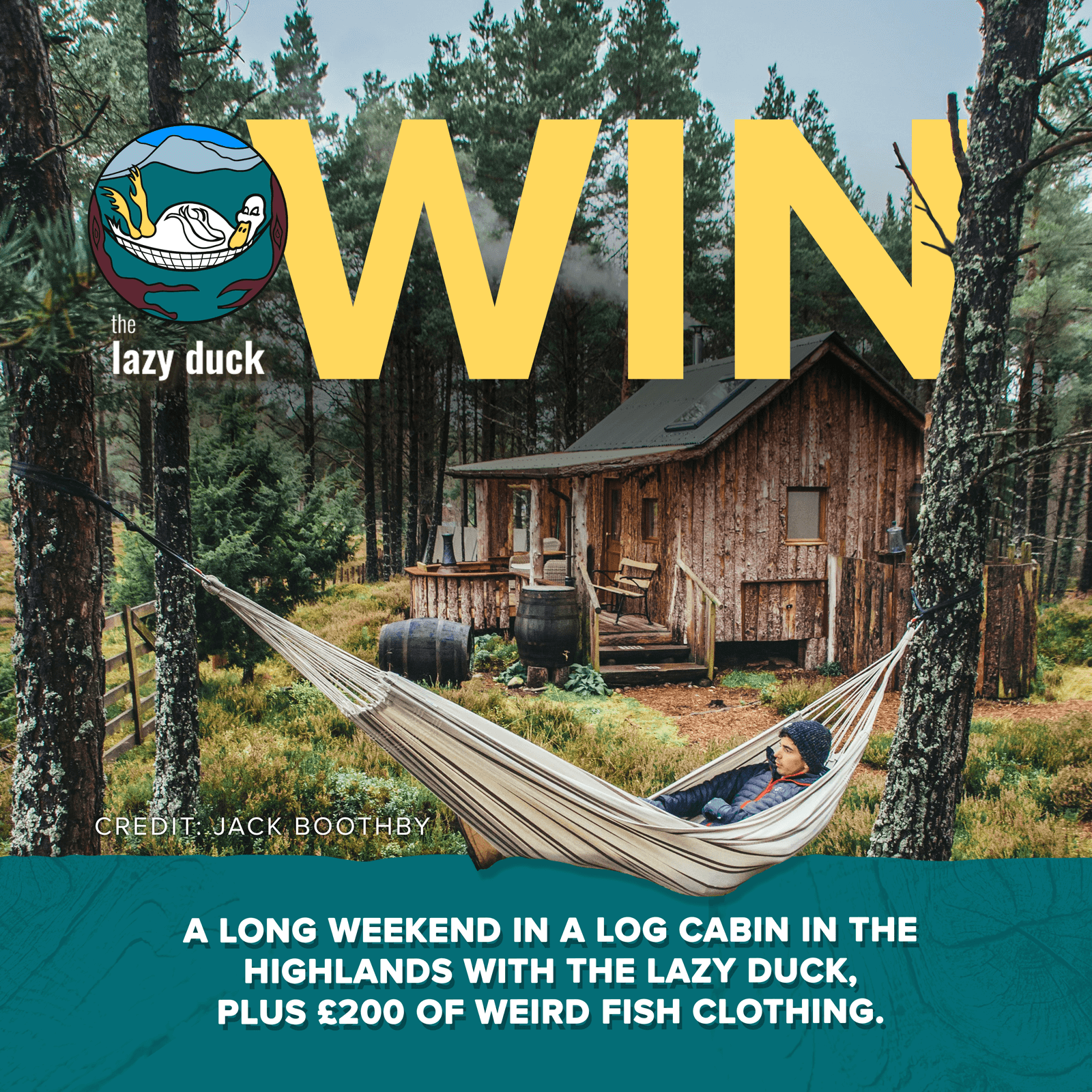 WIN - Lazy duck competition