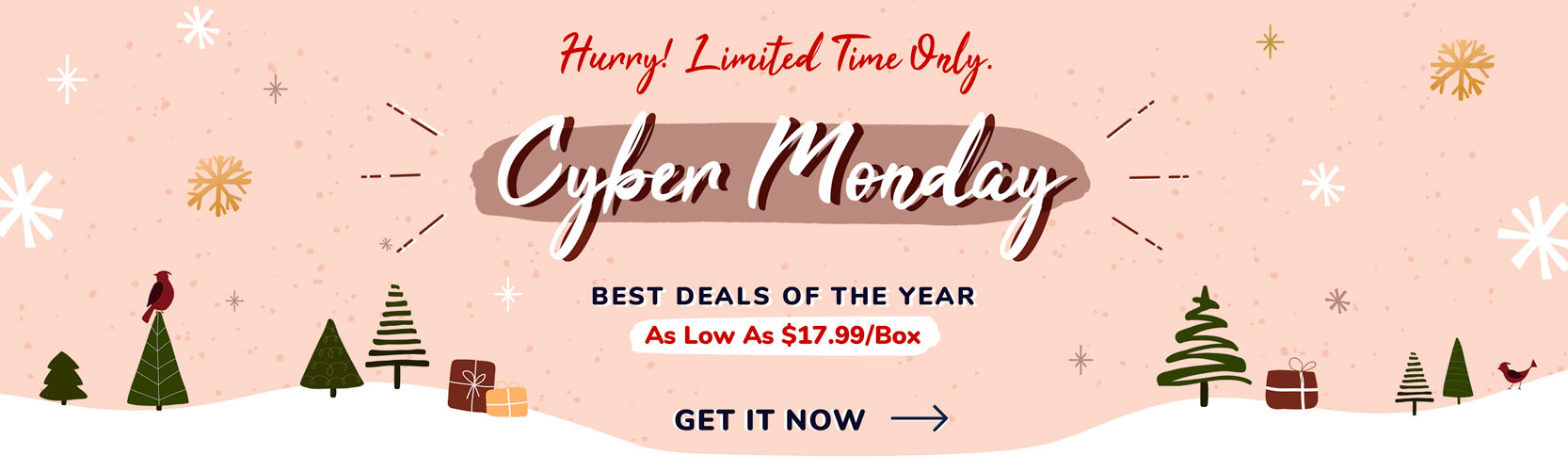 Day 11 of 12 Days of Sales: Cyber Sunday!