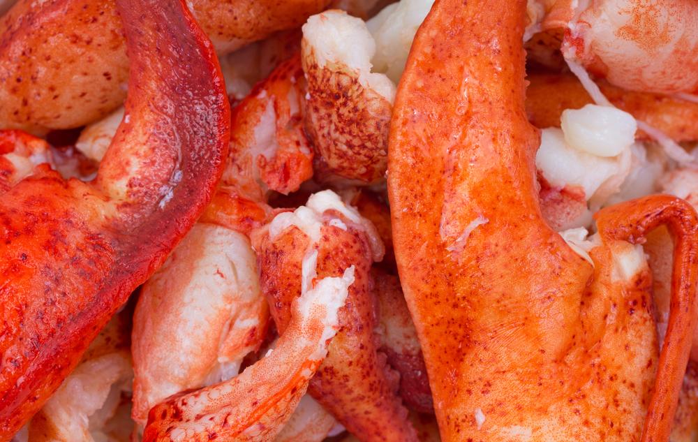 Lobster Meat Claws and Knuckle 1 lbs Bag