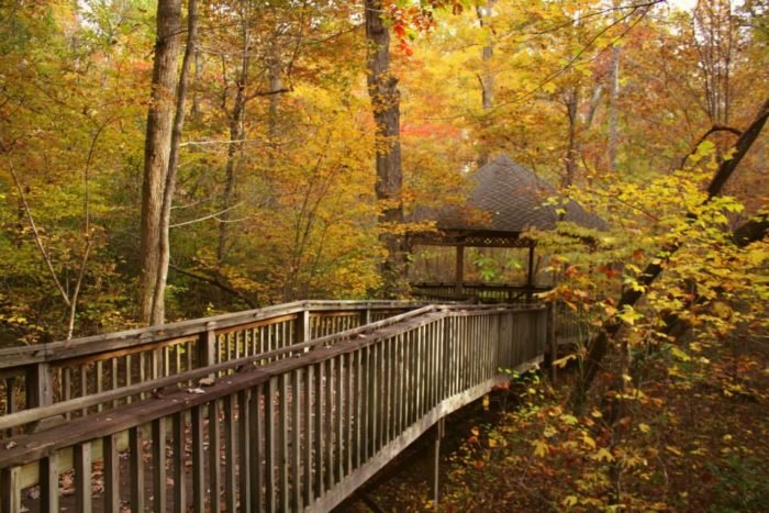 The 10 Most Breathtaking Places To Spend A Fall Afternoon In Alabama