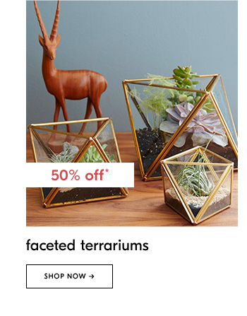 Faceted Terrariums - Shop Now
