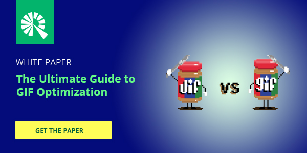 Click to View White Paper: The Ultimate Guide to GIF Optimization
