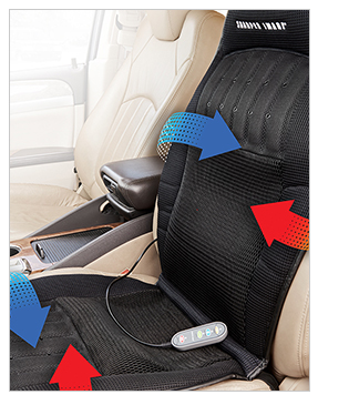 Heated Cooling Carseat