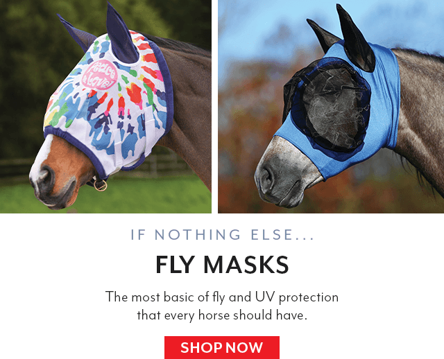 If nothing else, your horse should have a good fly mask to protect against flies and gnats.