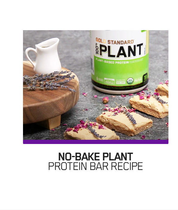 No-Bake Plant Protein Bar Recipe