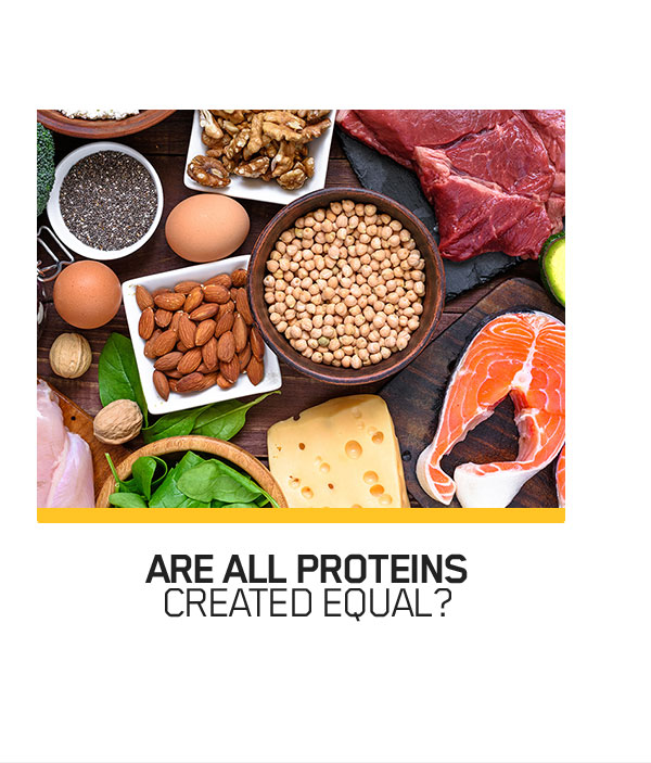 Are All Proteins Created Equal?