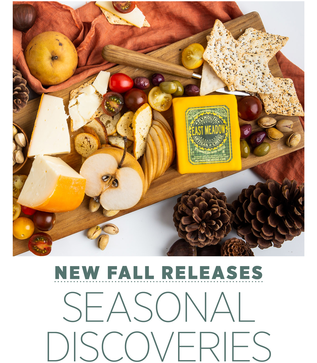 New Fall Releases: Seasonal Discoveries