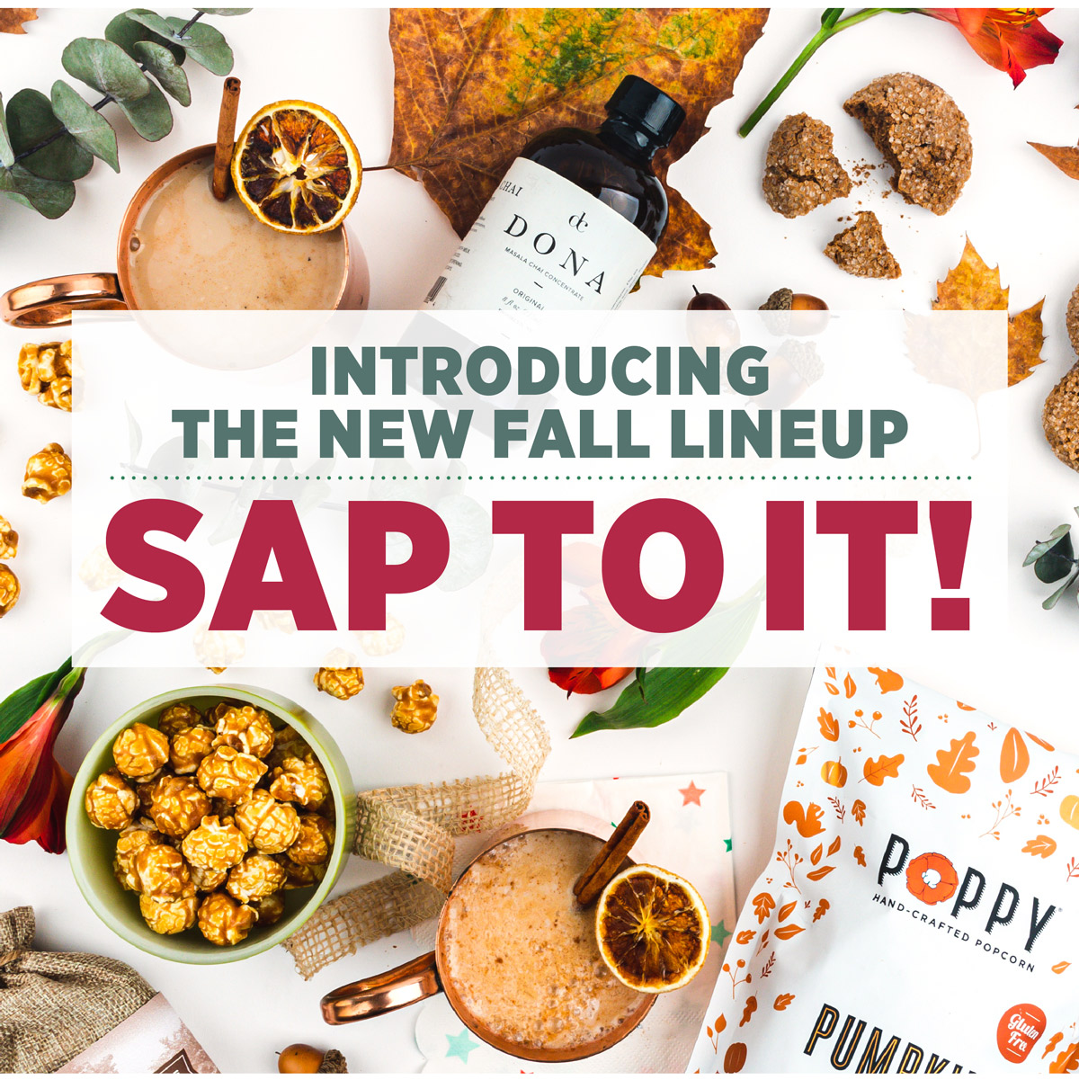 Introducing the New Fall Lineup: Sap to it!