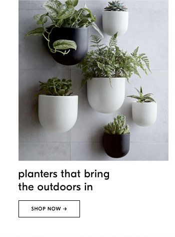 planters that bring the outdoors in
