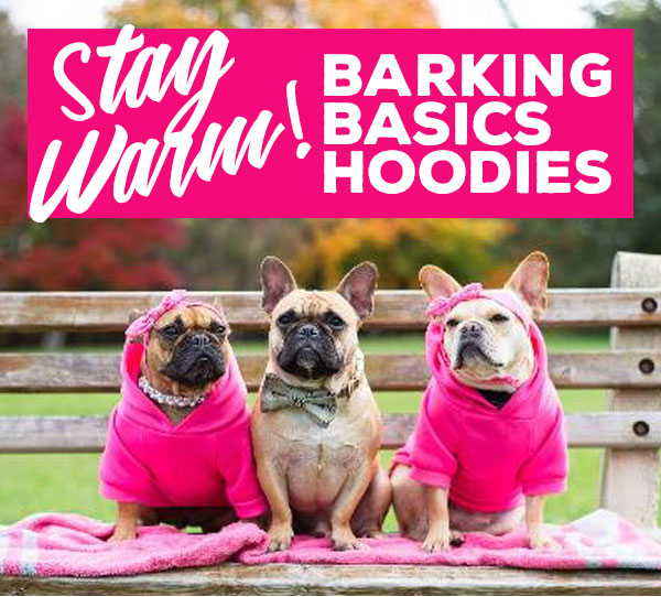 Stay Warm with some Barking Basics Hoodies
