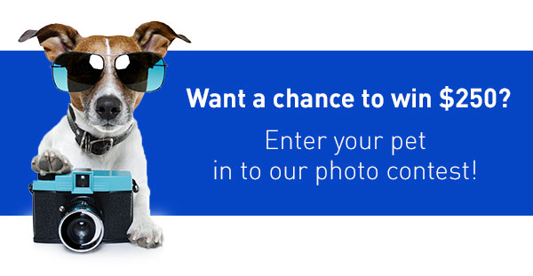 Enter your pet for a chance to win $250!