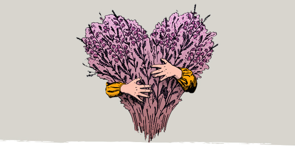 Illustration of arms hugging a heart-shaped bunch of heather