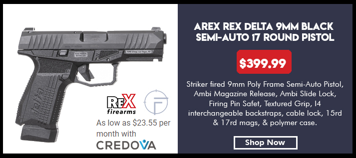 Arex Rex Delta 9mm Pistol With 15- and 17-Round Magazines