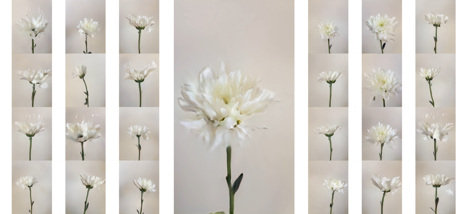 Chrysanthemum Study 1