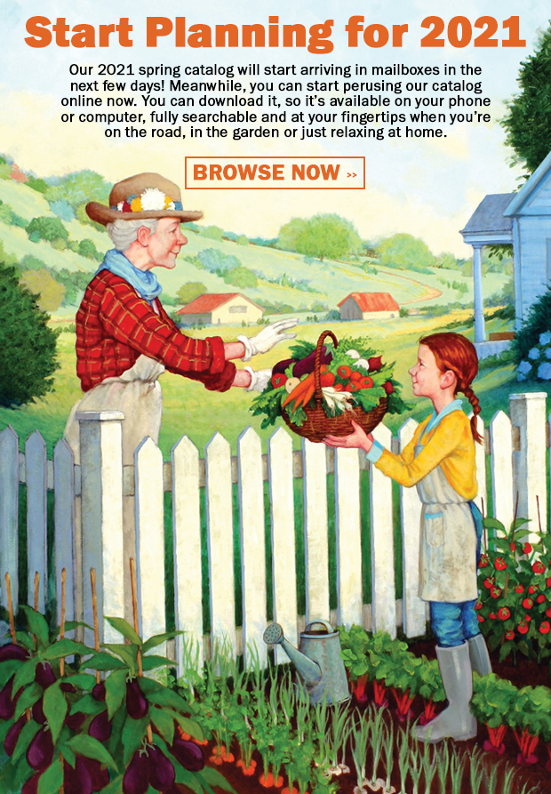 Our 2021 spring catalog will start arriving in mailboxes in the next few days! Meanwhile, you can start perusing our catalog online now. You can download it, so it's available on your phone or computer, fully searchable and at your fingertips when you're on the road, in the garden or just relaxing at home.