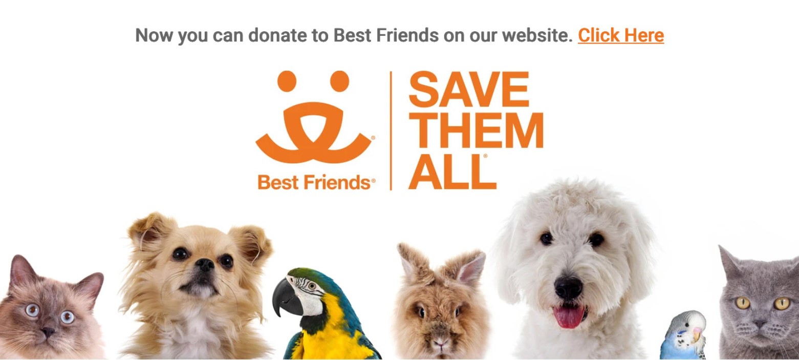 Donate to Best Friends