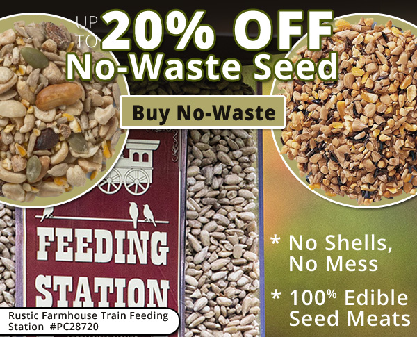 Up to 20% Off No-Waste Seed. No Code Needed. Sale Ends 5/7/20.