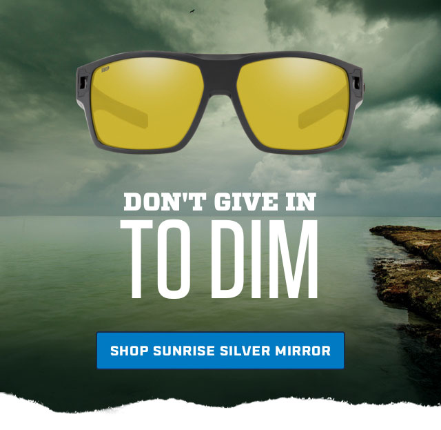 

DON''T GIVE IN
TO DIM

[ SHOP SUNRISE SILVER MIRROR ]



									