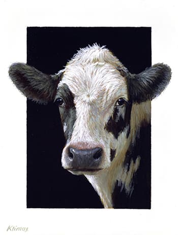 ''Emmy a Yearling Calf'' <br>oil on panel, 13 x 10 cm