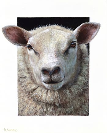 ''Daisy the Sheep'' <br>oil on panel, 15 x 12 cm