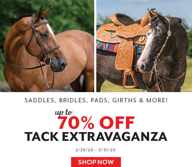 Up to 70% off Saddles, Bridles, Saddle Pads, Girths, and more!