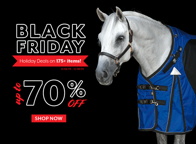 Black Friday Sale! Up to 70% off 175+ items.