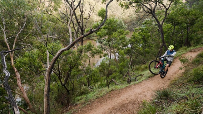 Trails in our own backyard: Yarra Trails