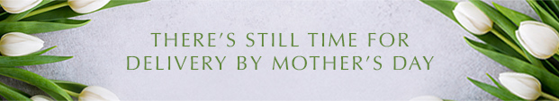 There''s Still Time For Delivery By Mother''s Day
