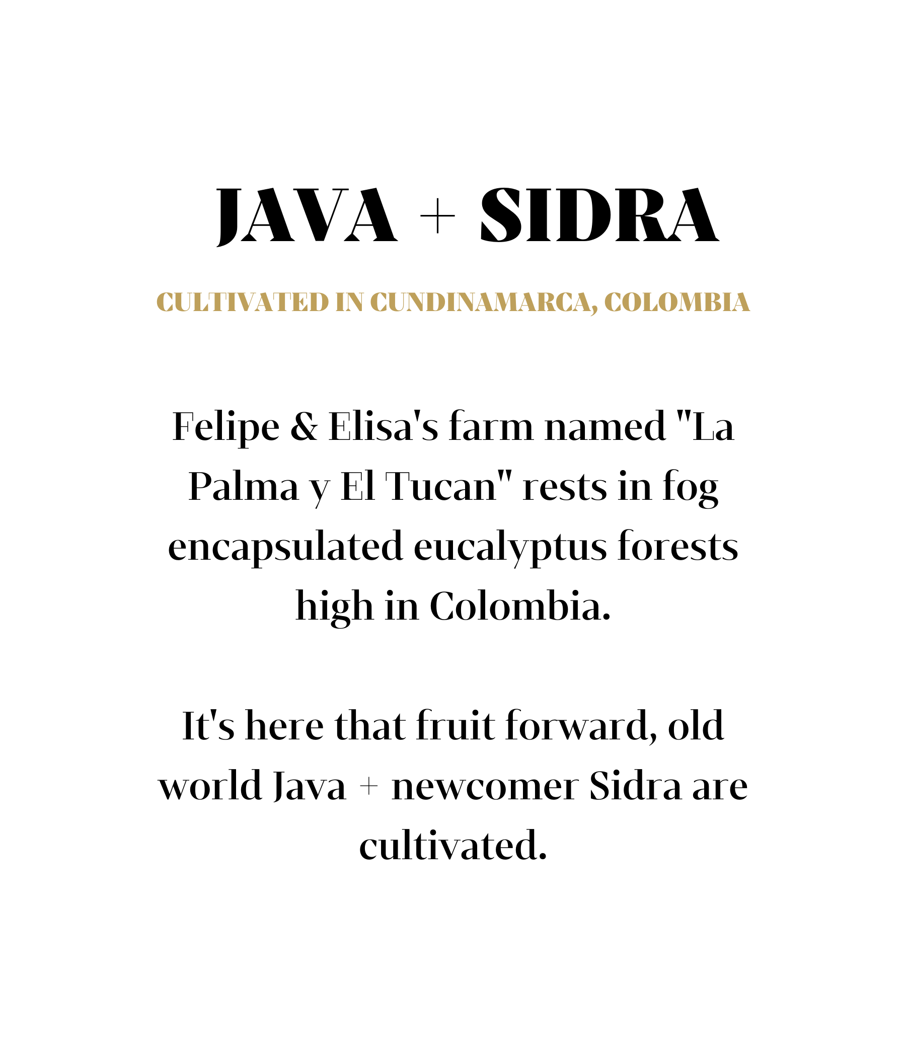 Java and Sidra cultivated in Cundinamarca Colombia