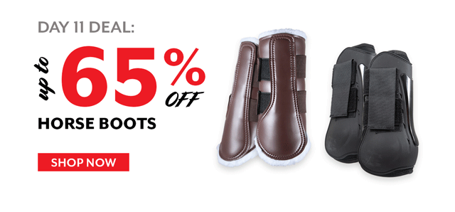 Up to 65% off Horse Boots. 2/11/20 - 2/14/20.