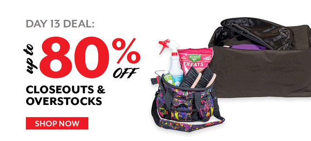 Up to 80% off Sale on Sale: Overstocks and Closeouts. 2/13/20 - 2/14/20.