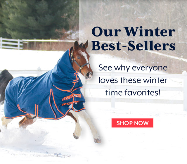 Our winter best-sellers. See why everyone loves these winter time favorites!