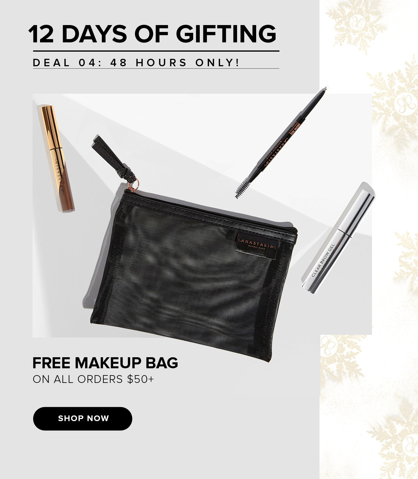 12 Days of Gifting - Deal 4: Free Makeup Bag on Orders $50+