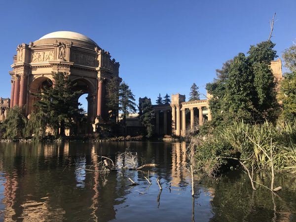 The city of San Francisco has identified the Palace of Fine Arts as a possible location for a pop-up ward to be used in the event of a coronavirus surge.  07.13.2020 | by Brian Howey BRIAN HOWEY |  San Francisco has identified a handful of potential pop-up wards to be used in the event of a coronavirus surge to house nearly 500 COVID-positive patients who do not require hospitalization but who cannot recuperate on their own because of their housing status or medical conditions, the Department of Emergency Management confirmed in a series of emails last week.  The department's confirmation came in response to inquiries sparked by a July 7 Twitter post by Christin Evans, president of the Haight-Ashbury Merchants Association. The post showed a screenshot from a Department of Public Health email leaked by a department employee to Evans and several Coalition on Homelessness organizers that includes a list of San Francisco locations paired with bed counts and July dates.  The sites include Next Door, which is the city's second-largest homeless shelter, the county fairgrounds, the Palace of Fine Arts and the cruise ship terminal at the Port of San Francisco, which together can hold 497 beds, according to a screenshot of the leaked email. The list includes an additional 166 