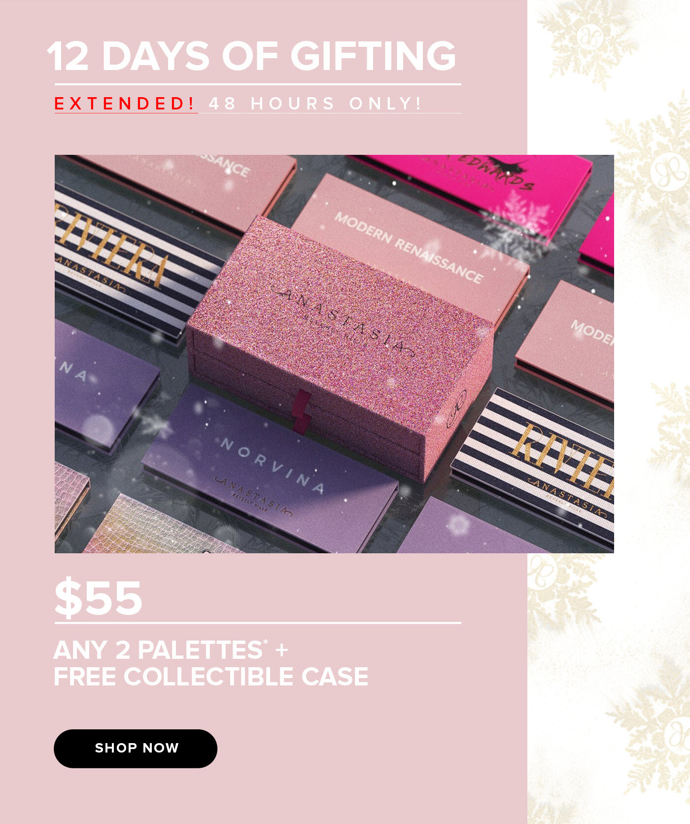 12 Days of Gifting - Extended: 2 Palettes for $55!