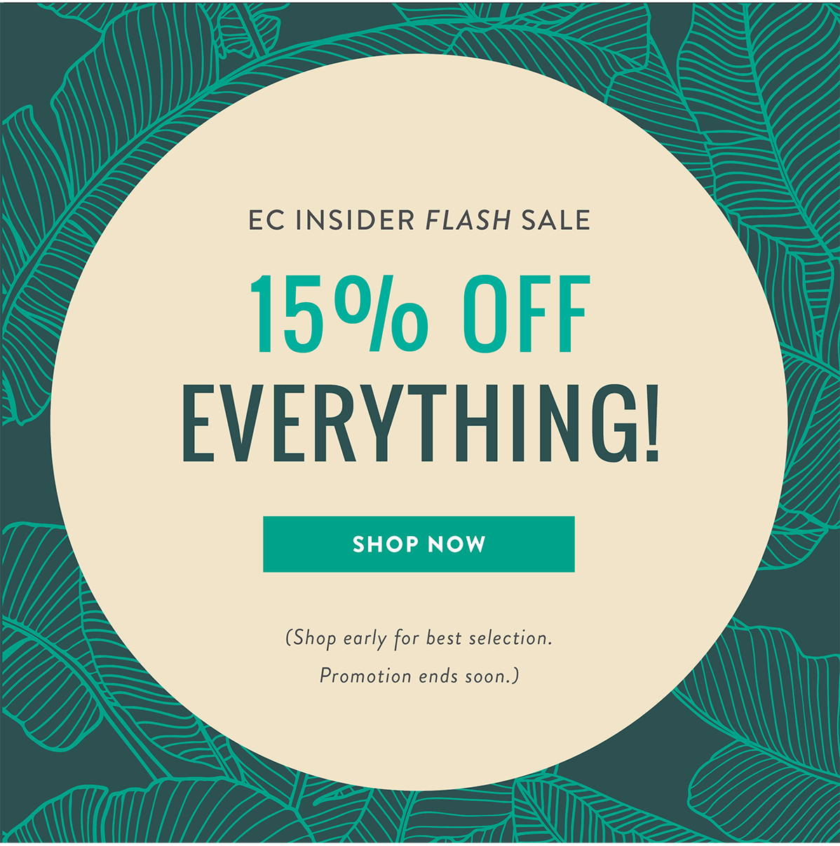 15% Off Everything! Shop Now >