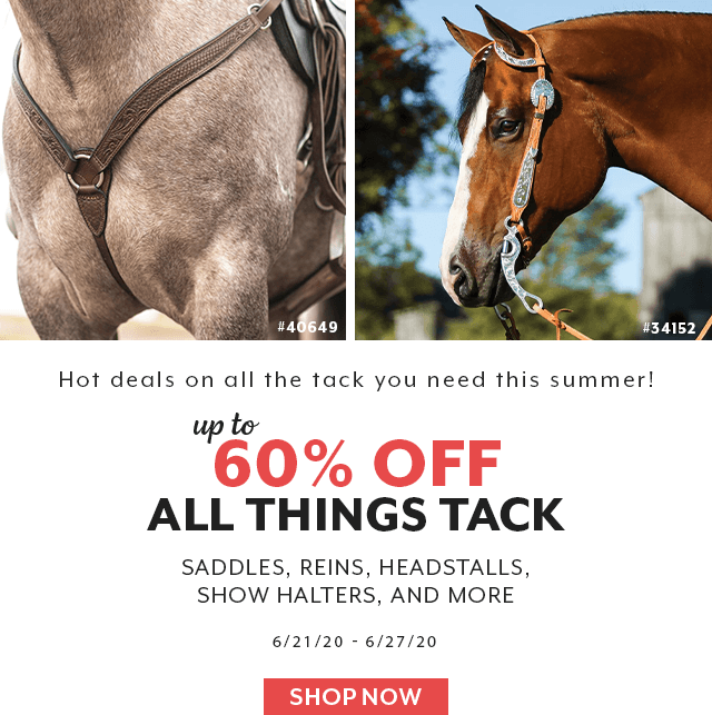 Summer Tack Sensation - up to 60% off. Hot deals on all the tack you need. Valid 6/21/20 - 6/27/20.