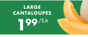 Large Cantaloupes - $1.99 each